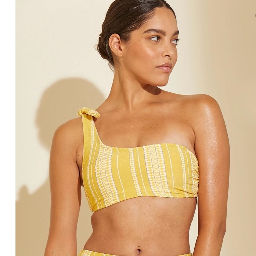 NWT Lem Lem Luchia bikini top sz large $145